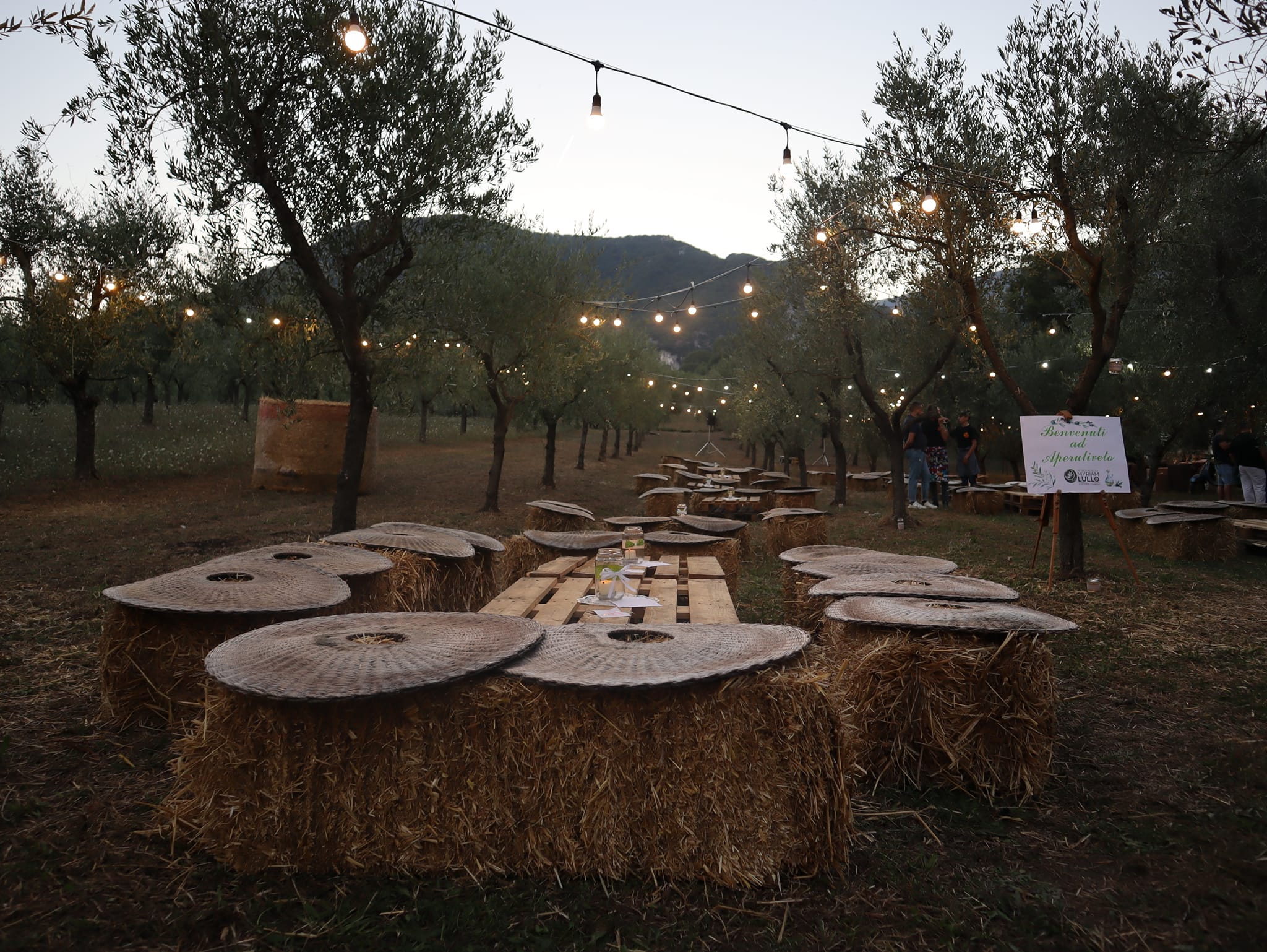 Visite guidate e degustazioni